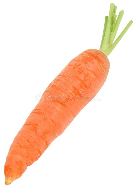 Carrot. Nice fresh carrot isolated over white with clipping path #Sponsored , #sponsored, #Affiliate, #Nice, #carrot, #clipping, #fresh Carrot Picture, Carrot Photo, Fashion Editorial Nature, Preschool Charts, Camel Animal, Bahay Kubo, Art Projects For Adults, Projects For Adults, Woman Illustration