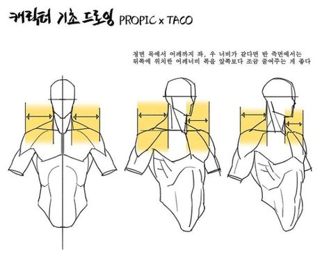 In the front, the width from neck to shoulder is the same on the both sides, but for the side view, it's better to reduce the rear shoulder width Point Character Drawing, How To Draw Necks, Taco Drawing, Anatomy Tutorial, Human Anatomy Drawing, Body Sketches, Human Anatomy Art, Anatomy Sketches, Body Reference Drawing