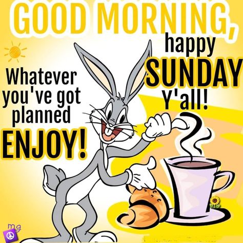 Good Morning Humor, Good Morning Gif Funny, Have A Wonderful Sunday, Morning Sayings, Good Morning Sunday Images, Happy Sunday Morning, Sunday Morning Quotes, Sunday Quotes Funny, Good Sunday Morning