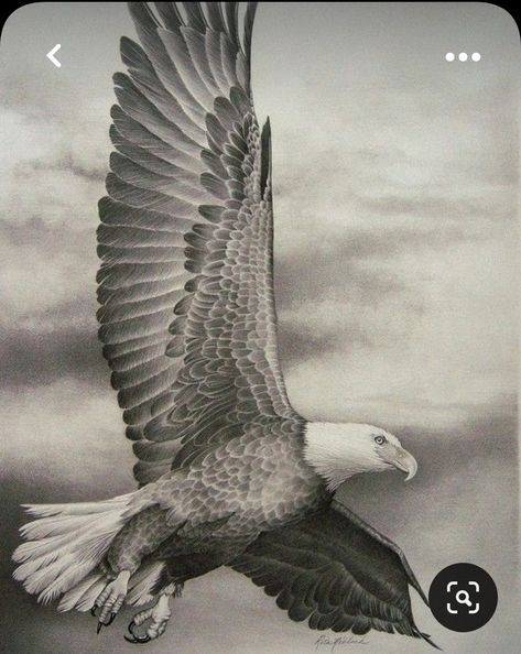 Eagle Pic, Eagle Drawing Easy, Flight Drawing, Drawing Eagle, Eagles Tattoo, Eagle Pattern, Eagle Drawing, Eagle In Flight, Eagle Tattoos