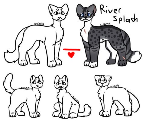 Warrior Cats Family Tree Base, Warrior Cats Family Base, Warrior Cats Family Tree, Holly Aesthetic, Cute Dogs For Sale, Somali Cats, Pet Names For Boyfriend, Funny Animal Facts, Cat Fursuit