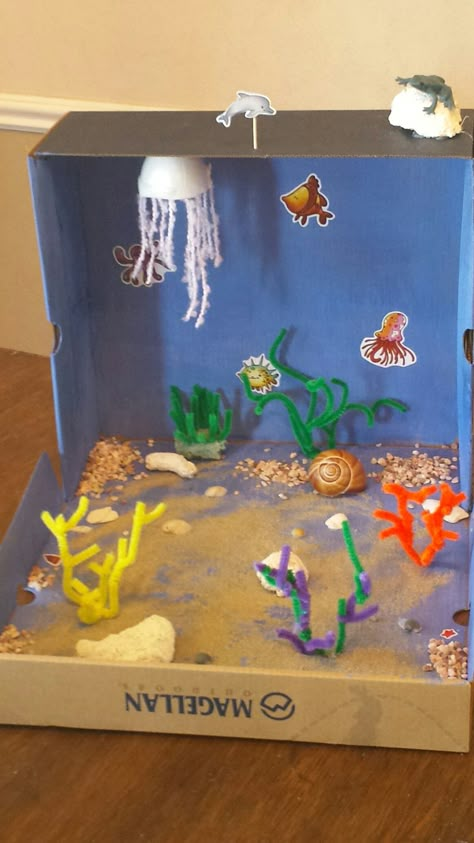 My 6th grade coral reef project #Crafts #Coralreefs#Biomeproject #diarama Under The Sea Box Project, Ocean Box Project, Coral Reef Shoebox Project, Coral Reef Projects For Kids, Coral Reef Biome Project, Coral Crafts For Kids, Coral Reef Project, Ocean Diarama Ideas Kids, Coral Reef Craft For Kids