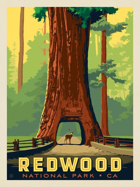 Redwood National Park: Chandelier Tree | Anderson Design Group Art Deco Travel Posters, Redwood National Park, Postal Vintage, Giant Tree, Retro Travel Poster, Sequoia National Park, National Park Posters, Adventure Camping, Scenic Routes