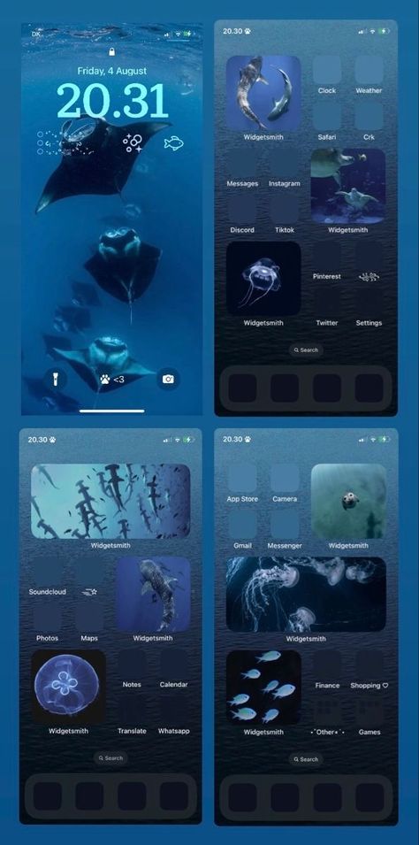 Shark Themed Iphone, Sharks Homescreen, Water Iphone Wallpaper Aesthetic, Shark Home Screen Layout, Whale Homescreen, Shark Iphone Layout, Shark Themed Phone Layout, Whale Shark Wallpaper Iphone, Shark Phone Layout