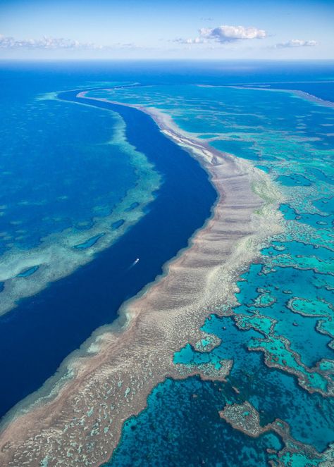 Barrier Reef Australia, The Great Barrier Reef, Coral Reefs, Great Barrier Reef, Travel Inspo, Australia Travel, Pretty Places, Dream Destinations, Travel Insurance