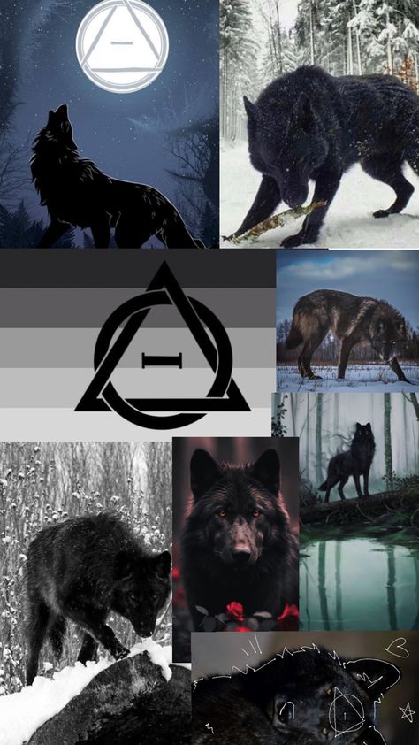 A nice colab for all those people with a black wolf as a therotype such as me! Black Wolf Therian, Anti Bear, Dino Mask Paint Ideas, Wolf Dark, Real Wolf, Lup Singuratic, Therian Art, Wolf Cat, Wolf Therian