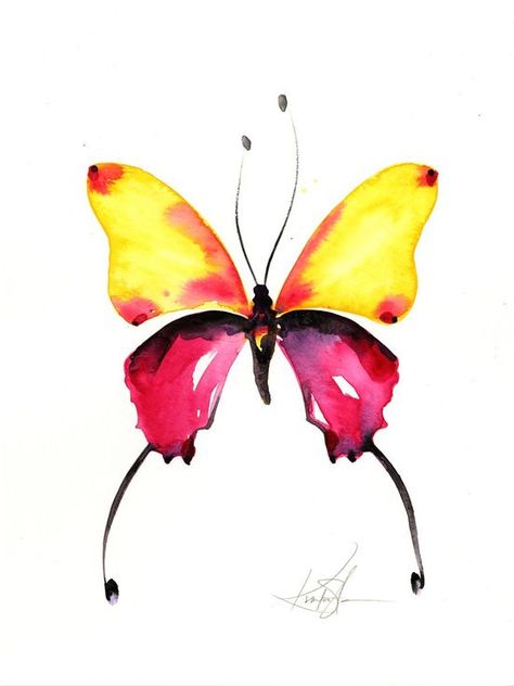 Butterfly Watercolor Painting, Abstract Butterfly, Watercolor Butterfly, 수채화 그림, Buy Wall Art, Butterfly Watercolor, Butterfly Art, Watercolor Cards, Painting On Canvas