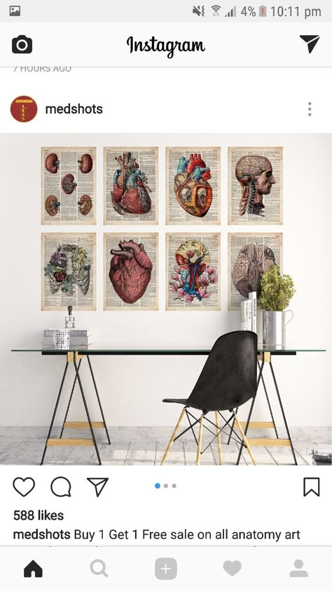 Medical Student Room Decor Ideas, Medicine Room Decor, Nursing Student Room Decor, Medical Room Aesthetic, Medical Bedroom Ideas, Med Student Dorm Room, Medical Room Decor, Med Student Room Decor, Med Student Apartment