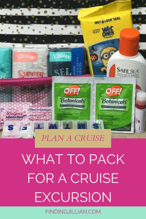 When you are out exploring you need a great cruise port day bag.  A bag that has all of the essentials you need for a great day exploring your ports of call. #cruiseport #excursions #beachbag #excursionbag #cruiseessentials #daybag Cruise Beach Bag, Essentials For Cruise, Daily Pill Organizer, Beach Bag Essentials, Travel Printables, Antibacterial Wipes, Cruise Essentials, Cruise Planning, Caribbean Carnival