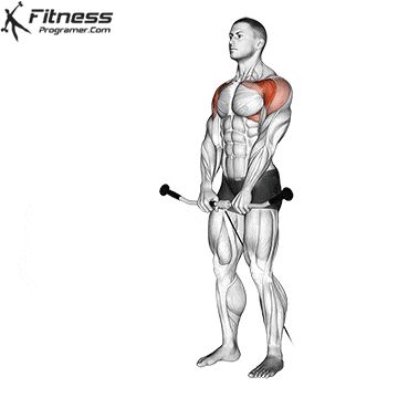 Ab Rocker, Dumbbell Back Workout, Muscle Booster, Captains Chair, Free Workout Plans, Best Shoulder Workout, Biceps Brachii, Cable Workout, Shoulder Exercises