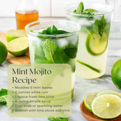 The best mint mojito should have a vibrant green color, a delightful aroma of mint and lime, and a balanced taste of sweet and tangy flavors, with a refreshing effervescence from the club soda. It's the perfect cocktail to enjoy on a warm summer day or any time you want a taste of the tropics! Easy Cocktail Recipe | Mojito Recipes | Cocktail Recipes | Cocktail | Summer Drinks Cocktail Recipes Mojito, Mojitos Recipe, Mint Lime Cocktail, Mint Mojito Recipe, Vodka Mojito Recipe, Simple Mojito Recipe, Sweet Mojito Recipe, Mojito Simple Syrup Recipe, Fresh Mint Mojitos