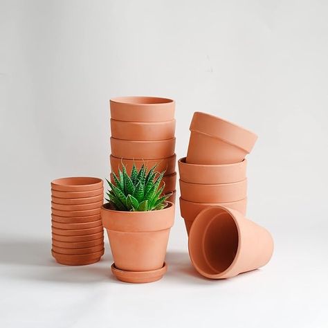 Amazon.com: HERDUK Terracotta Pots 4 inch, Pack of 12 Clay Pots for Plants, Small Terracotta Pots with Drainage Holes and Saucers, Mini Nursery Plant Pots for Succulents, Cactus, Indoor,Outdoor : Patio, Lawn & Garden Clay Pots For Plants, Pots For Succulents, Mini Nursery, Cactus Indoor, Terra Cotta Plant, Large Terracotta Pots, Nursery Plant, Small Clay Pot, Nursery Wedding