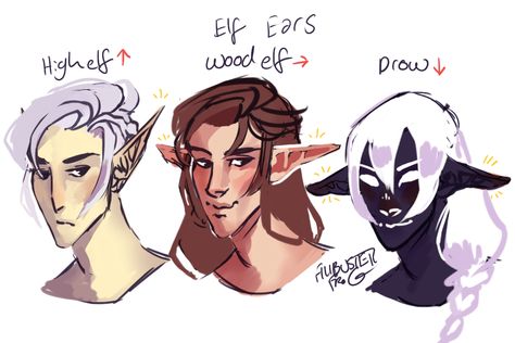 emeraldninjaiv: “ filibusterfrog: “ notaaronsroommate: “ filibusterfrog: “my opinion on elf ears ” Half elf? ” for your reference ” Half high elf half drow? ” i think most elf phenotypes would only be co-dominant when interbreeding w/... Elf Ears Drawing, Half Elf Dnd, Ears Drawing, Half Drow, Elf Drawings, Dnd Elves, Half Elf, Elf Ear, Dnd Races