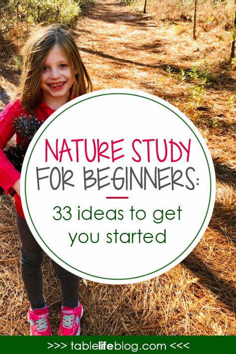 Nature Lessons, Nature Based Learning, Outdoor Learning Activities, Homeschool Nature Study, Forest School Activities, Nature Education, Nature School, Homeschool Lesson, Forest School