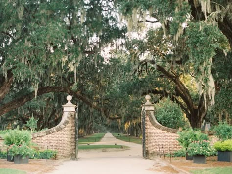 Southern Coastal Aesthetic, Southern Mom Aesthetic, Boone Hall Wedding, Bayou House, Southern Romance, Southern Aesthetic, Romance Inspiration, Charleston Trip, South Carolina Lowcountry