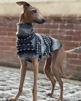 Whippet Jumpers & Sweaters | Greyhound Italian Lurchers Greyhound Coat Pattern, Whippet Clothes, Greyhound Italian, Greyhounds Clothes, Greyhound Clothes, Dog Reference, Vest Designs, Fair Isle Pattern, Italian Greyhound