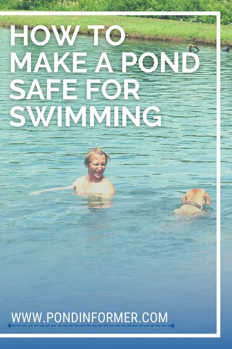 Natural Ponds Backyard Swimming Holes, Man Made Swimming Pond, Swim Pond Diy Natural Pools, Pond With Beach Area, How To Build A Natural Swimming Pond, Solar Pond Fountain, Man Made Pond In Backyard, Make A Pond, Large Pond Ideas