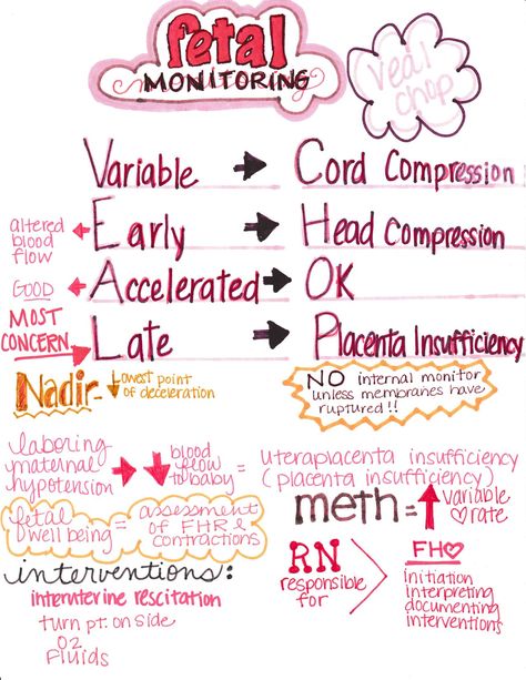 Sonography Student Notes, Obstetrics Nursing Notes, Maternal Nursing Study, Ob Notes Ob Nursing, Sonography Student Study Obgyn, Labor And Delivery Nurse Notes, Obstetrics And Gynecology Notes, Maternal Health Nursing, Gynaecology Notes