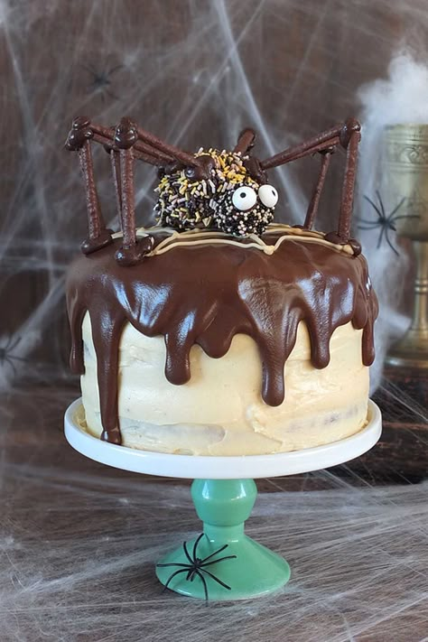 Chocolate Peanut Butter Swirl Cake - WomansDay.com Edible Cake Images, Halloween Cakes Easy, Halloween Cake Recipes, Halloween Torte, Pasteles Halloween, Spider Cake, Tårta Design, Postres Halloween, Halloween Camping