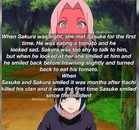 SasuSaku Sasusaku Fanart, Funny Naruto, Naruto Facts, Naruto Ships, Funny Naruto Memes, Sasuke Sakura Sarada, Sasuke Uchiha Sakura Haruno, Uchiha Family, Cute Couple Comics