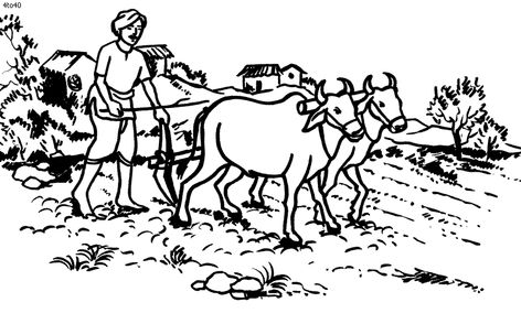 Education- life skills such as farming were an essential part to education and important to survive the rural areas of England. Farmers Illustration, Farming Drawing, Agriculture Drawing, Farming Illustration, Tamil Village, Om Muruga, Simple Car Drawing, Indian Agriculture, Cute Cattle