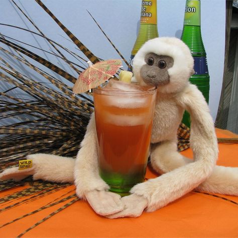 Drunk Monkey Fresh Pineapple Recipes, Drunken Monkey, Monkey With Banana, Drink Of The Day, Banana Liqueur, Monkey Bar, Melon Liqueur, Home Canning Recipes, Orange Liqueur