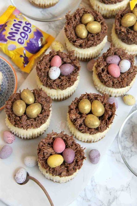 Easter Nest Cheesecakes! - Jane's Patisserie Chocolate Easter Cake, Easter Cheesecake, Easter Cooking, Janes Patisserie, Easter Nests, Easter Baking, Easter Cupcakes, Easter Dessert, Easter Cakes