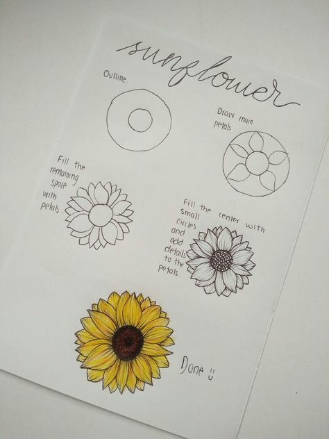 Drawing Sunflowers Step By Step, Drawing A Sunflower, Sunflower Sketch Simple, Step By Step Sunflower Drawing, Sunflower Drawing Tutorial, Sunflower Drawing Aesthetic, How To Draw A Sunflower, Easy Sunflower Drawing, How To Draw Sunflowers