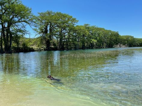 Secluded Frio River oasis offers private access to swimming holes Texas Hikes, Best Beaches In Texas, Texas Getaways, Frio River, Texas Vacation, Travel Texas, Texas Places, Texas Parks, Bald Cypress