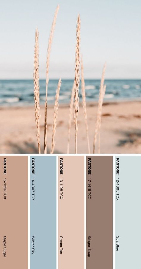 Color Palette Pantone, Pantone Color Palette, Choir Dresses, Pantone Colour Palettes, Color Stories, Pantone Color, Dress Codes, Color Palette, Coding