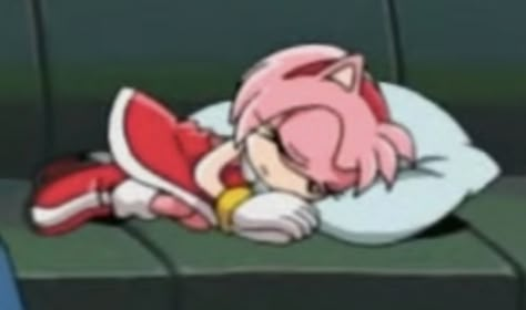 Amy Rose Sleeping, Emo Amy Rose, Amy Rose Hammer, Amy Rose X Shadow, Amy Rose Gif, Amy Rose Pfp, Movie Amy, Amy Rose Hedgehog, Rosé Meme