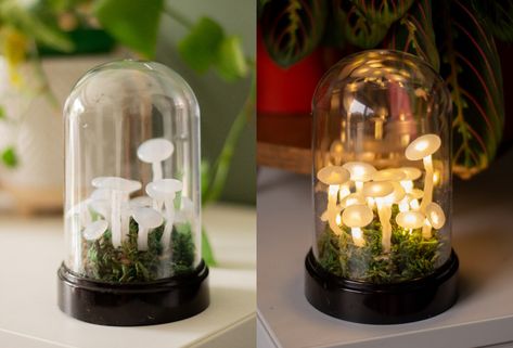 How To Make Hot Glue Mushrooms, Hot Glue Mushrooms, Glue Mushrooms, Diy Mushroom Decor Hot Glue, Mushroom Fairy Lights Diy Hot Glue, Mini Mushroom Hot Glue, Terrarium Display, Glowing Mushrooms, Mushroom Lights