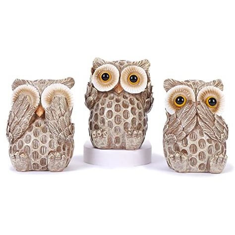 FriyGardcn Set of 3 Owl Statues Home Décor, Cute Owl Figurines for Shelf, Living Room Bedroom Office Desktop, Bookshelf, Animal Sculptures Gifts,Small Decor Accents Items for Birds Lovers… Owl Figurines, Desktop Bookshelf, Office Desktop, Decor Accents, Cute Owl, Set Of, Small Decor, Animal Sculptures, Bird Lovers