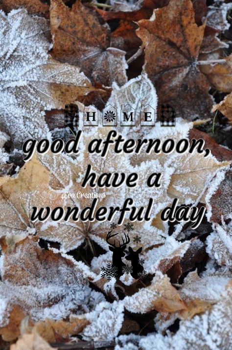 Afternoon Quotes, Afternoon Nap, Good Afternoon, Snowy Day, Morning Quotes, Good Morning Quotes, Happy Holidays, Good Morning, Beautiful Flowers