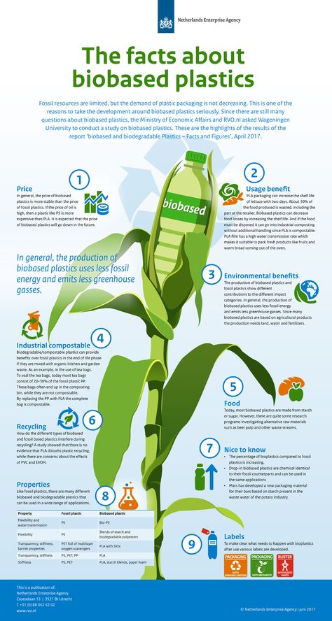 Facts on bio-based plastics made simple – European Bioplastics e.V. Photoshop Illustration Tutorial, Branding Infographic, Nature Quotes Inspirational, Ap Environmental Science, Recycling Activities, Agriculture Projects, Social Studies Projects, Green Chemistry, Agriculture Education