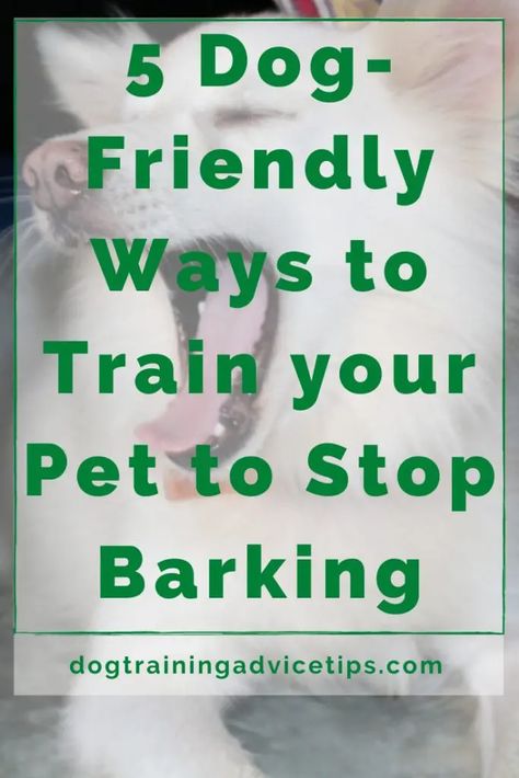 How To Stop Dogs From Barking, No Barking Training, Train Dog Not To Bark, Stop Puppy Barking, Stop Dog Barking, Dog Behavior Training, Penny Board, Dog Behavior Problems, Dog Enrichment