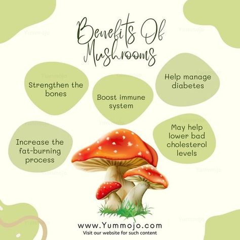 "The Power of Mushrooms: 5 Scientifically-Backed Health Benefits of Mushrooms" Bad Cholesterol Foods, Vitamin K2 Foods, Lipedema Diet, Benefits Of Mushrooms, Lower Bad Cholesterol, Health Benefits Of Mushrooms, Mushroom Benefits, Cholesterol Foods, Bad Cholesterol