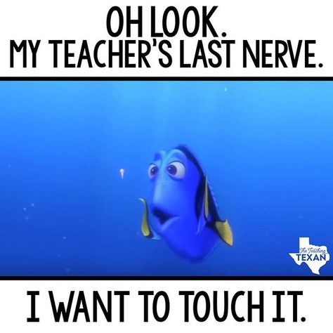 Teaching Memes, Teaching Humor, Funny Disney Memes, Social Emotional Development, Humor Mexicano, Teacher Memes, Quality Memes, Teacher Inspiration, Teaching Life