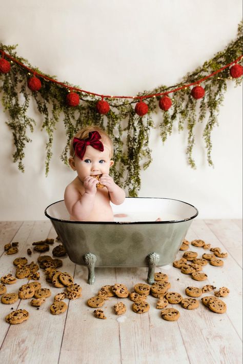 First Christmas Photoshoot, Holiday Baby Pictures, Baby Christmas Photoshoot, Baby Holiday Photos, Baby Christmas Photography, Christmas Cranberry, Christmas Baby Pictures, Baby Christmas Photos, First Christmas Photos