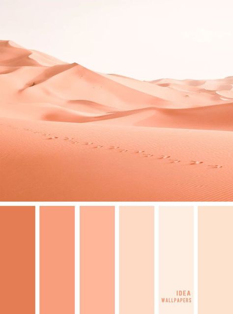 Sand Color Palette, Peach Pantone, Pretty Color Palette, Peach Color Schemes, Color Palette From Image, Peach Color Palettes, Coral Colour Palette, Hex Color Codes, Palette Color