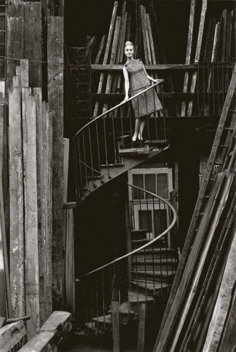 Stunning Black and White Photography by Jeanloup Sieff ~ Vintage Everyday Jean Loup Sieff, Jeanloup Sieff, White Fashion Photography, Photography Student, French Photographers, Magnum Photos, Stairway To Heaven, Spiral Staircase, Unframed Wall Art