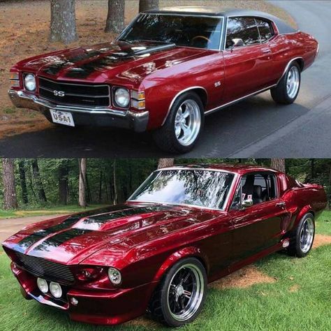 Chevy Chevelle or Ford Mustang 1967 Mustang, Old Muscle Cars, Auto Retro, Vintage Muscle Cars, Custom Muscle Cars, Old School Cars, Classic Motors, Ford Classic Cars, Sweet Cars