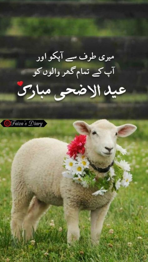 Eid Ul Adha Mubarak Greetings, Eid Ul Azha Mubarak, Chaand Raat, Eid Ul Adha Images, Eid Mubarak Wishes Images, Eid Mubarik, Eid Ul Adha Mubarak, Eid Celebrations, Eid Poetry