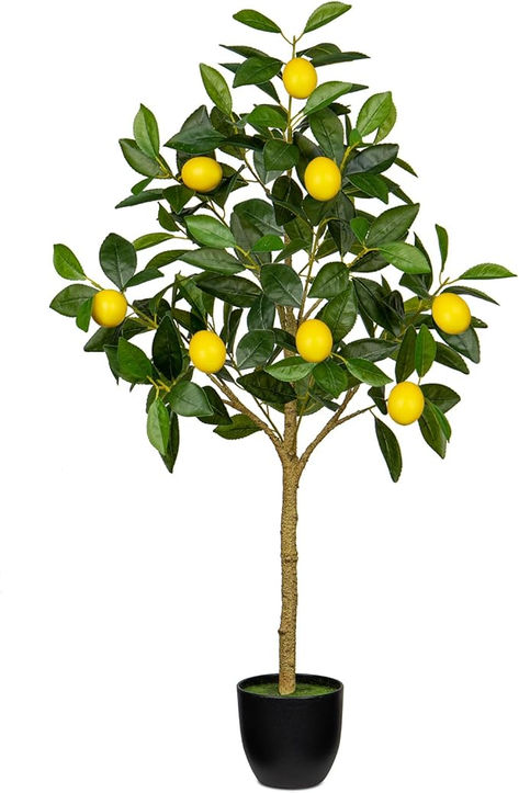 Premium Artificial Tree - The leaves and branches of the lemon plant are made of high quality silk and plastic respectively, the lemon fruits are made of polystyrene and its surface has covered with a layer of slurry, and the stem of the fake lemons plant are made of PU material, it is lifelike and has realistic touch, which it is hardly to distinguish between it and other lemon tree Mini Lemon Tree, Fake Lemons, Lemon Plant, Artificial Cactus, Lemon Candle, Boxwood Topiary, Floor Plants, Artificial Boxwood, Faux Tree