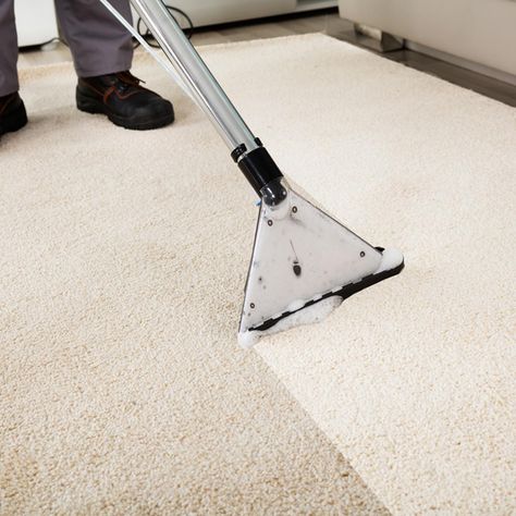 Dry Carpet Cleaning, Carpet Cleaning Business, Deep Carpet Cleaning, Diy Carpet Cleaner, Carpet Cleaning Solution, Carpet Cleaning Machines, Carpet Cleaning Hacks, Carpet Cleaning Company, Professional Carpet Cleaning