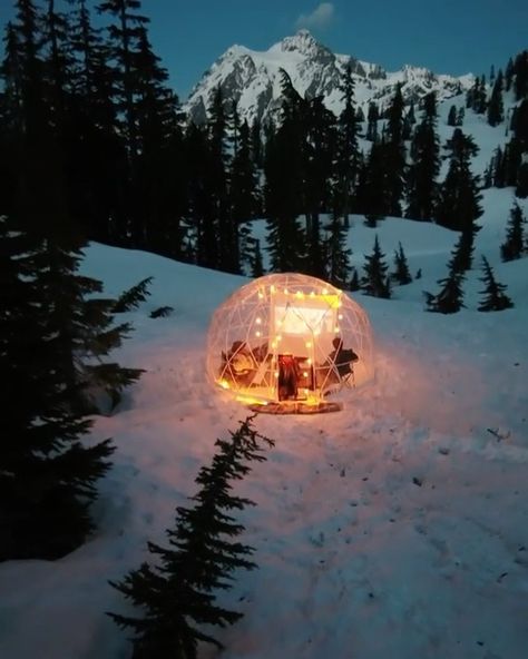 Nature on Instagram: “Would you do this? And by this we mean: watch a movie 🍿 in an igloo 🌆 in the snowy ❄️ mountains? Tag someone you’re taking with you! 🏕…” Igloo Aesthetic, Dirty Boots, Your Next Movie, Mount Baker, Snowy Mountains, Ice Fishing, Nature Animals, Cold Winter, Movie Night