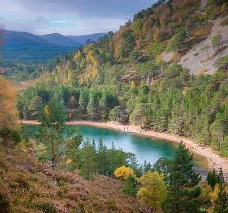 Aviemore Scotland, Cairngorms National Park, Hiking National Parks, Kingdom Of Great Britain, Summer Plans, Scotland Travel, Ireland Travel, Uk Travel, Pretty Places