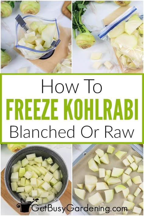 Do you love fresh kohlrabi and want to learn how to preserve it so you can use it in your recipes year round? Reading this detailed guide about how to freeze kohlrabi with or without blanching will give you the complete step by step instruction to do so with confidence, plus tips for thawing and how to use it. Freezing kohlrabi is easy with my advice and tips. You’ll be able to enjoy it in your cooking for months to come, whether it’s from your garden, the grocery store, or farmer’s market. Kohlrabi Recipes Healthy, Cottagecore Cooking, Kohlrabi Recipes, Freezing Vegetables, Canning Food Preservation, Canned Food Storage, Csa Recipes, Garden Cooking, Family Meal Planning