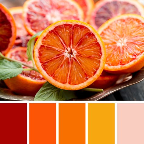 Indian Colour Palette, Food Color Palette, Color Design Inspiration, Food Inspired, Indian Colours, Orange Color Palettes, Palette Design, Color Pallete, Red Colour Palette