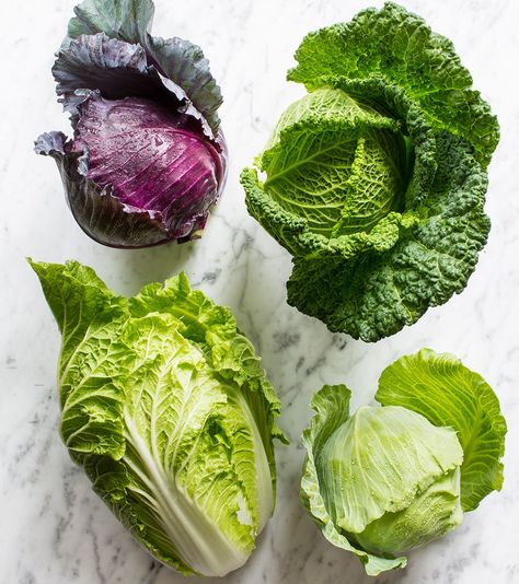 cabbage varieties Can You Freeze Cabbage, How To Store Cabbage, How To Cook Cabbage, Cook Cabbage, Cabbage Health Benefits, Cabbage Varieties, Cabbage Recipes Healthy, Cabbage Benefits, Glazed Walnuts